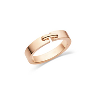 [Aethel]ALLIANCE LIENS VIDENCE 4MM RING